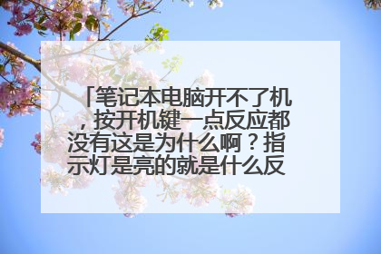 笔记本电脑开不了机，按开机键一点反应都没有这是为什么啊？指示灯是亮的就是什么反应都没有。