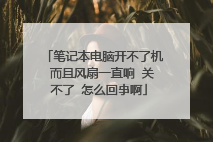 笔记本电脑开不了机 而且风扇一直响 关不了 怎么回事啊