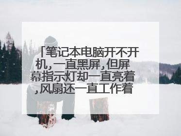 笔记本电脑开不开机,一直黑屏,但屏幕指示灯却一直亮着,风扇还一直工作着,鼠标插入还亮着!怎么办?