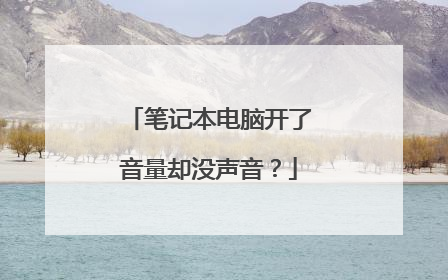 笔记本电脑开了音量却没声音?