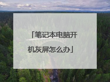 笔记本电脑开机灰屏怎么办