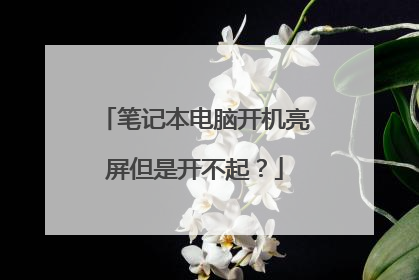 笔记本电脑开机亮屏但是开不起？