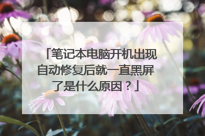 笔记本电脑开机出现自动修复后就一直黑屏了是什么原因?