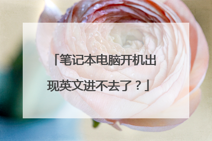 笔记本电脑开机出现英文进不去了?