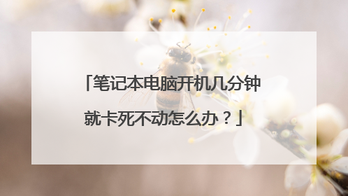 笔记本电脑开机几分钟就卡死不动怎么办?