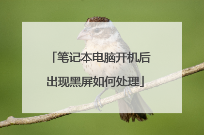 笔记本电脑开机后出现黑屏如何处理