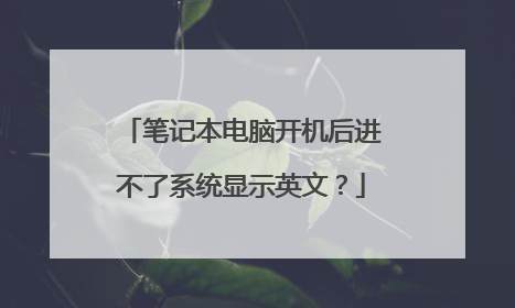 笔记本电脑开机后进不了系统显示英文?