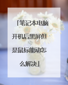 笔记本电脑开机后黑屏但是鼠标能动怎么解决