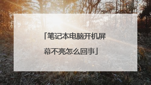 笔记本电脑开机屏幕不亮怎么回事