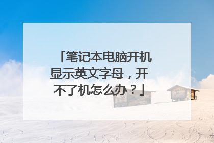 笔记本电脑开机显示英文字母,开不了机怎么办?