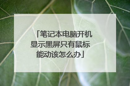 笔记本电脑开机显示黑屏只有鼠标能动该怎么办