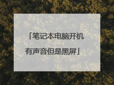 笔记本电脑开机有声音但是黑屏