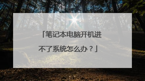 笔记本电脑开机进不了系统怎么办?