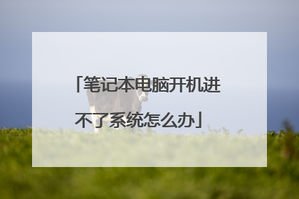 笔记本电脑开机进不了系统怎么办