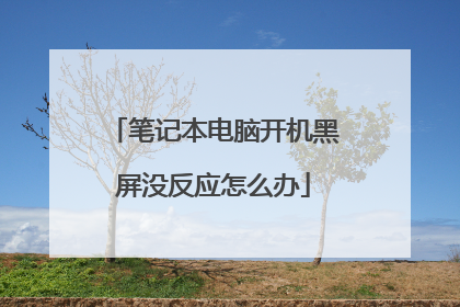笔记本电脑开机黑屏没反应怎么办