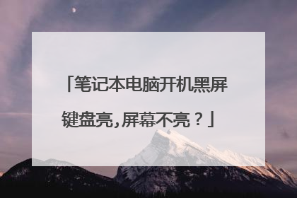 笔记本电脑开机黑屏键盘亮,屏幕不亮？