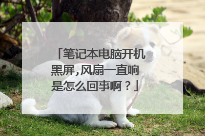 笔记本电脑开机黑屏,风扇一直响是怎么回事啊？