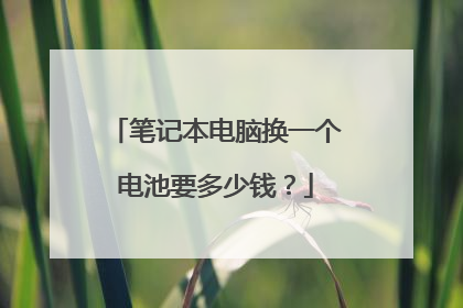 笔记本电脑换一个电池要多少钱？