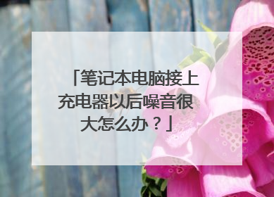 笔记本电脑接上充电器以后噪音很大怎么办？