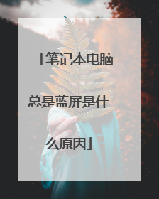 笔记本电脑总是蓝屏是什么原因