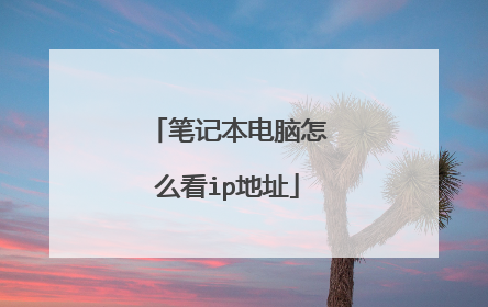 笔记本电脑怎么看ip地址