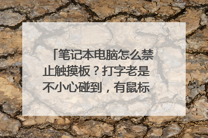 笔记本电脑怎么禁止触摸板?打字老是不小心碰到,有鼠标都不用触摸板,但不知怎么关掉