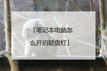 笔记本电脑怎么开启键盘灯