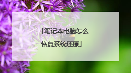 笔记本电脑怎么恢复系统还原