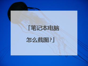 笔记本电脑怎么截图?