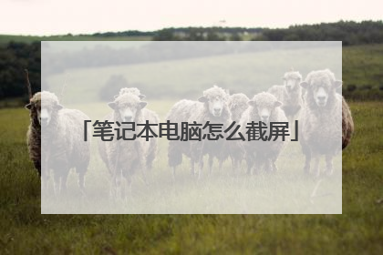 笔记本电脑怎么截屏