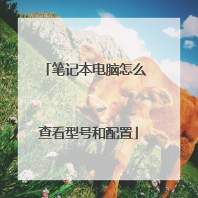 笔记本电脑怎么查看型号和配置
