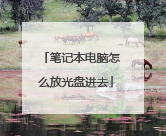 笔记本电脑怎么放光盘进去