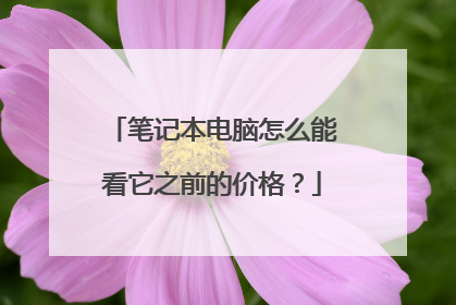 笔记本电脑怎么能看它之前的价格?