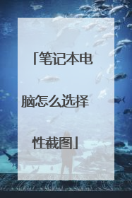笔记本电脑怎么选择性截图