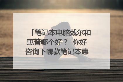 笔记本电脑戴尔和惠普哪个好? 你好咨询下哪款笔记本惠普和戴尔哪款好用