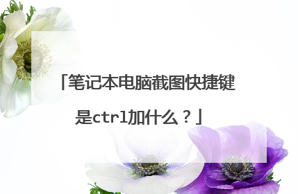 笔记本电脑截图快捷键是ctrl加什么？