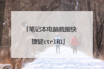 笔记本电脑截图快捷键ctrl和