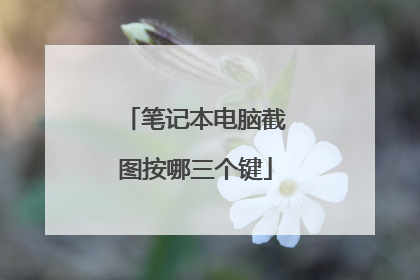 笔记本电脑截图按哪三个键