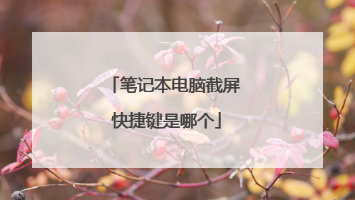 笔记本电脑截屏快捷键是哪个