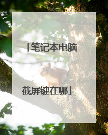 笔记本电脑截屏键在哪