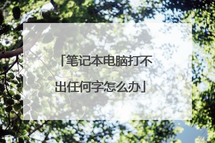 笔记本电脑打不出任何字怎么办