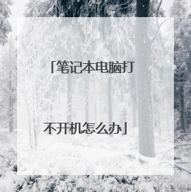 笔记本电脑打不开机怎么办