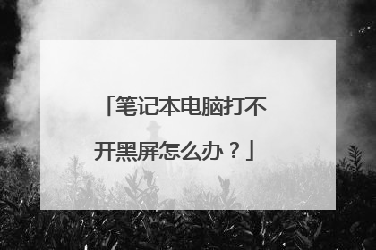 笔记本电脑打不开黑屏怎么办？