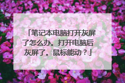 笔记本电脑打开灰屏了怎么办。打开电脑后灰屏了。鼠标能动?
