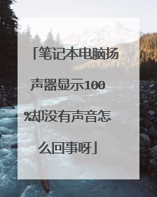 笔记本电脑扬声器显示100%却没有声音怎么回事呀