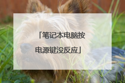 笔记本电脑按电源键没反应