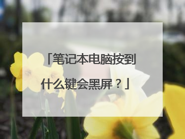 笔记本电脑按到什么键会黑屏？