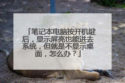 笔记本电脑按开机键后,显示屏亮也能进去系统,但就是不显示桌面,怎么办?