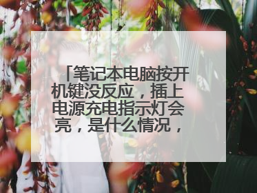 笔记本电脑按开机键没反应，插上电源充电指示灯会亮，是什么情况，该怎么解决？