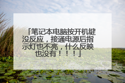 笔记本电脑按开机键没反应,接通电源后指示灯也不亮,什么反映也没有!!!